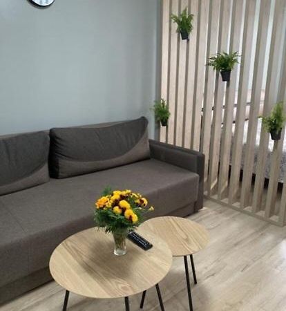 Babylon Apartments On Vidinska 41 Rivne Ngoại thất bức ảnh